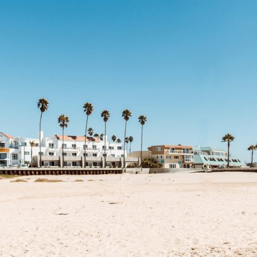 A sunny beach with white sand, calm blue water, and palm trees scattered along the shore, under a clear sky.