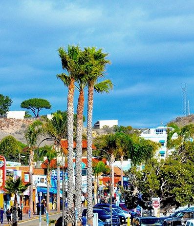 A sunny coastal street scene with palm trees, colorful shops, cars, and a bright blue sky in a seaside town.